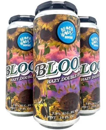 BEACH HAUS BLOOM 4PK CN 16OZ