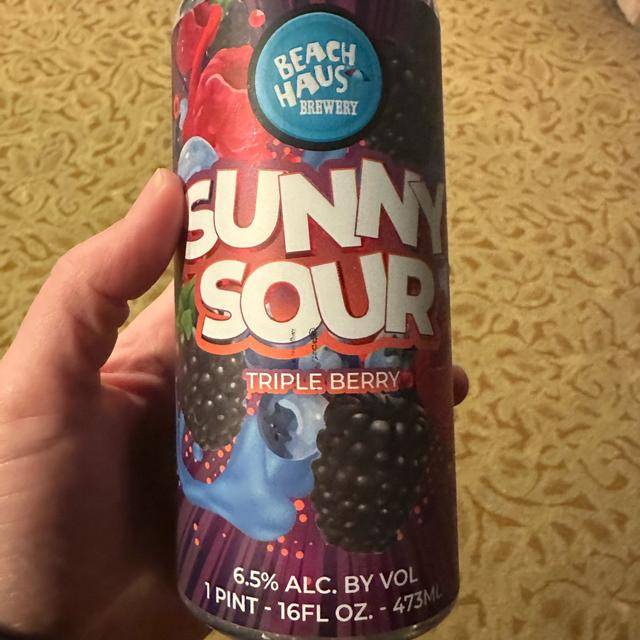 BEACH HAUS SUNNY SOUR TRIPLE BERRY 4PK CN 16OZ