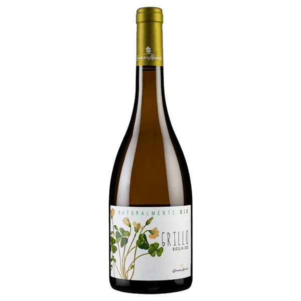 CARUSO E MININI GRILLO SICILIA