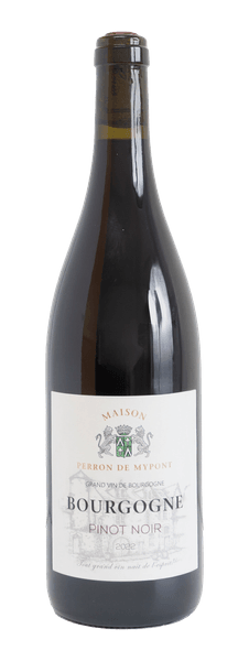 CHRISTOPHE LEPAGE BOURGOGNE PINOT NOIR 2022 750ML