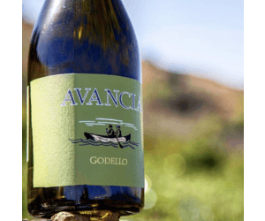 AVANCIA GODELLO OLD VINES 750ML