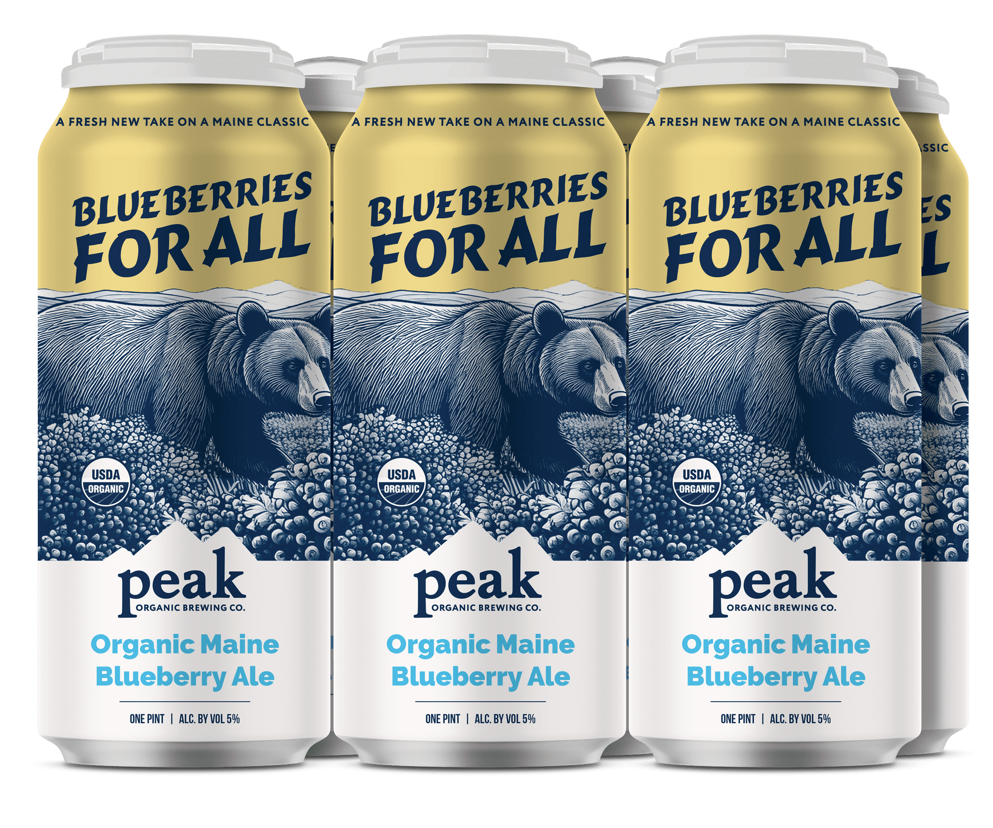 PEAK BLUEBERRY FOR ALL 6PK CN